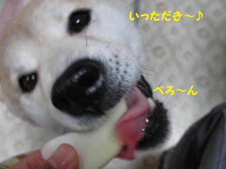 べろ~ん