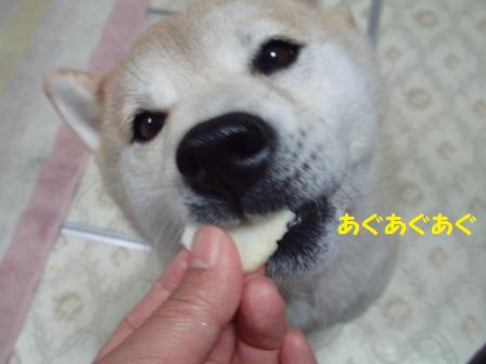 あぐあぐあぐ