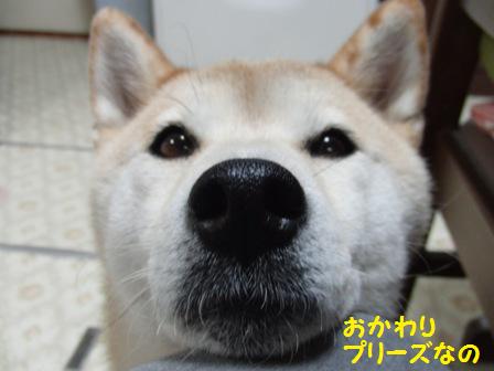 プリーズ
