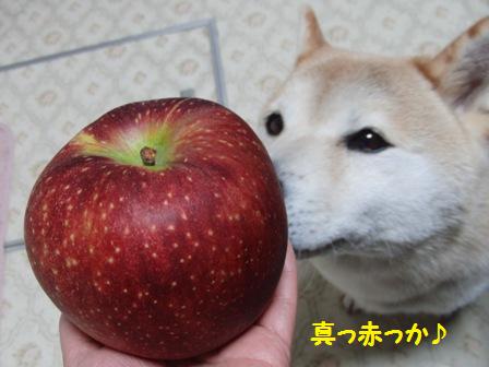 秋映