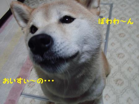 ぽわわ~ん