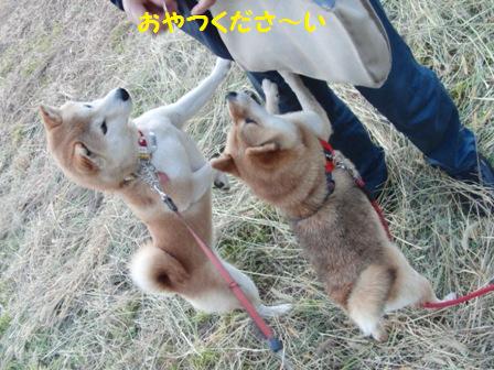 おやつ
