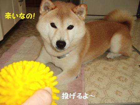 来い