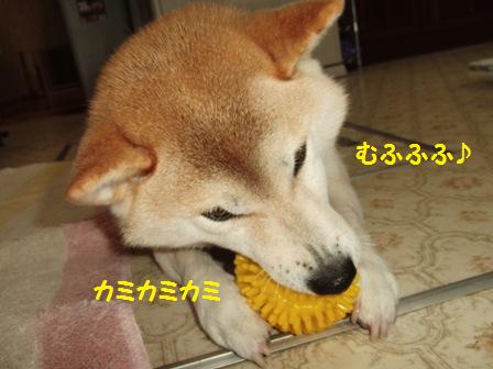 むふふふ