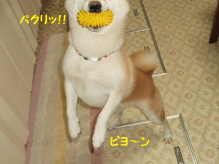 パクリ