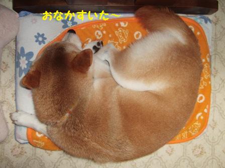 おなかすいた
