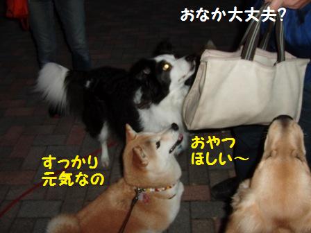 おやつ
