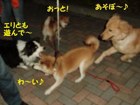 遊ぼう