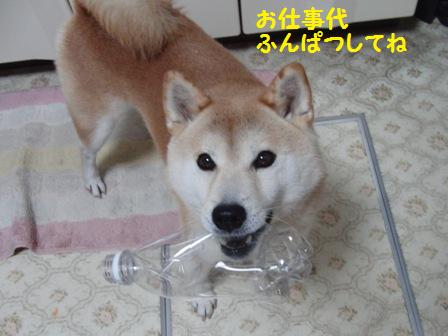 お仕事