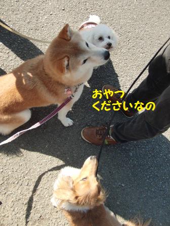 おやつ