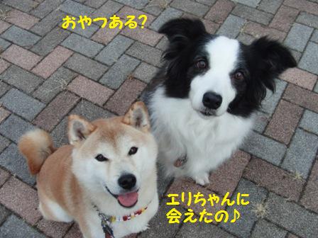 エリちゃん