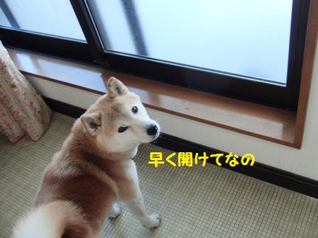 開けて
