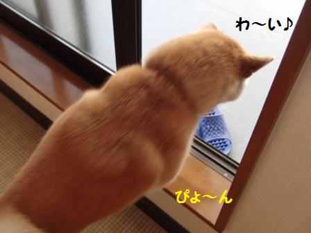 わ~い