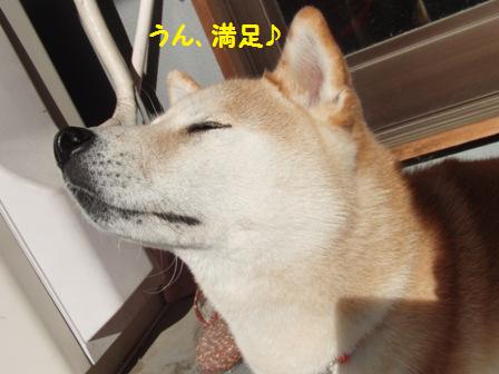 満足