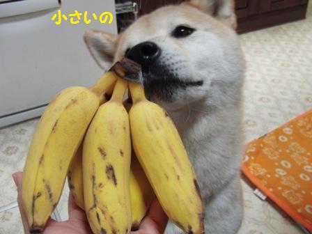 小さい