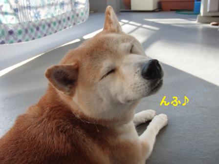 んふ♪
