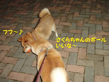 いいな~