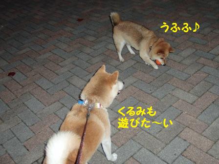 遊びたい