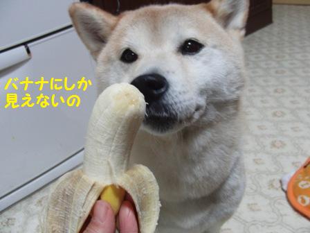 バナナ