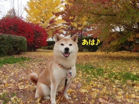 あは♪