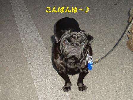 福造くん