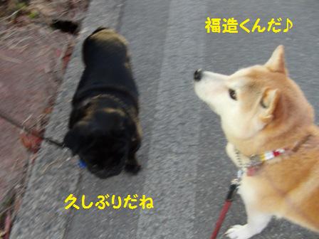 福造くん