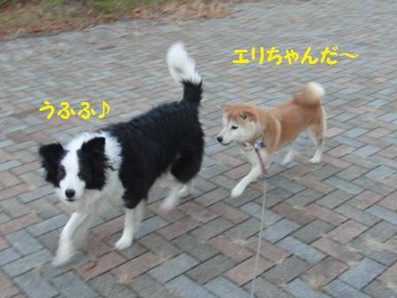 エリちゃん
