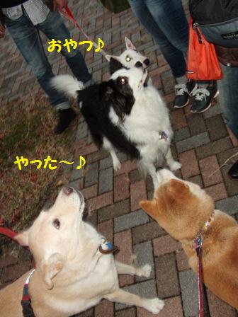もんどくん