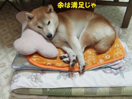 満足じゃ