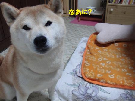 なあに?