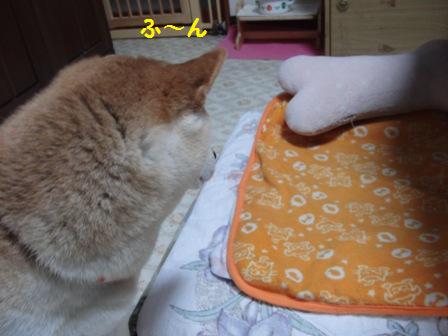 ふ~ん