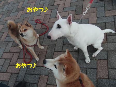おやつ