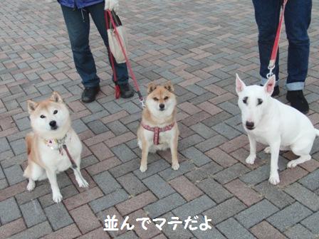 並んで