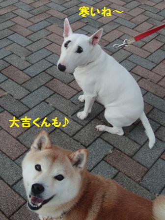 大吉くん