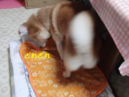 どれどれ