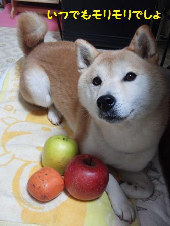 モリモリ