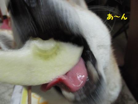 あ~ん