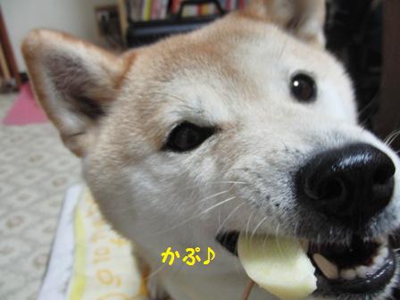かぷ