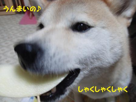 しゃくしゃくしゃく