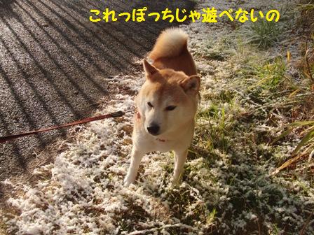 これっぽっち
