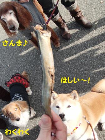 ほしい