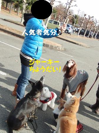 人気者