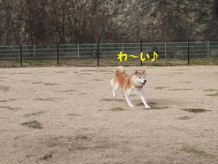 わ~い