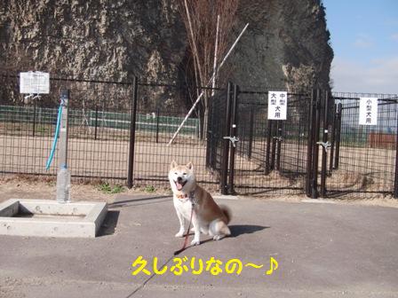 上田ドッグラン