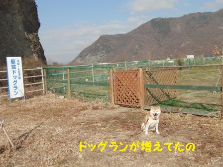 中大型犬用