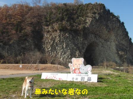 岩鼻