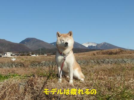 浅間山