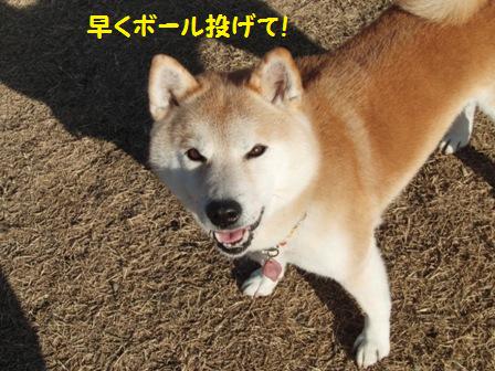 早く投げて