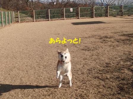 あらよっと