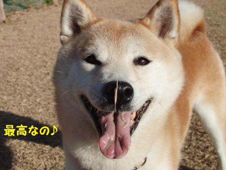 最高なの